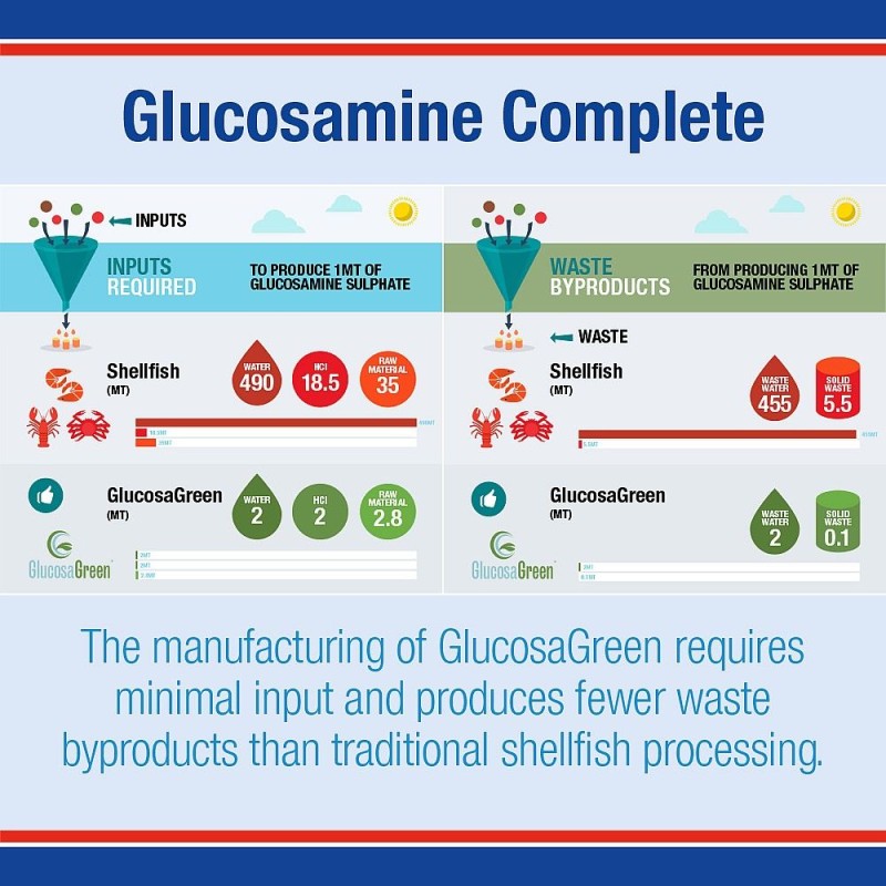 Lamberts Glucosamine Complete Vegan, 60 ταμπλέτες