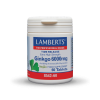 Lamberts Ginkgo Biloba Extract 6000mg, 60 ταμπλέτες