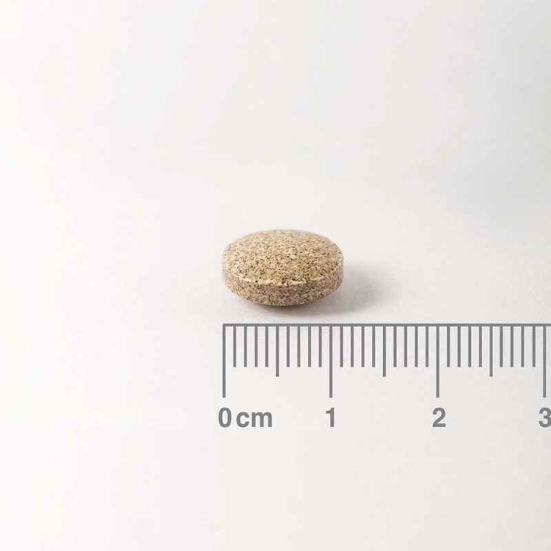 Lamberts Ginkgo Biloba Extract 6000mg, 60 ταμπλέτες